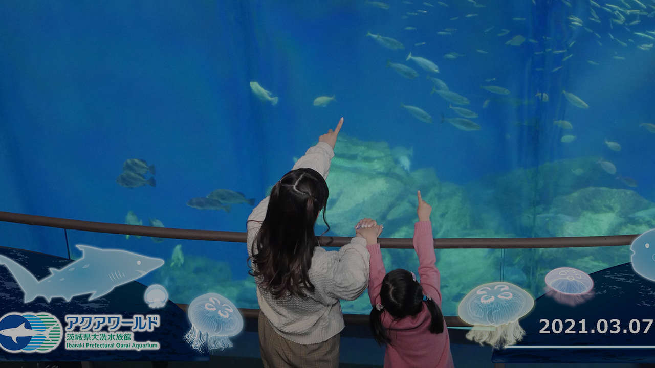 PaNサービス | 文教スタヂオ